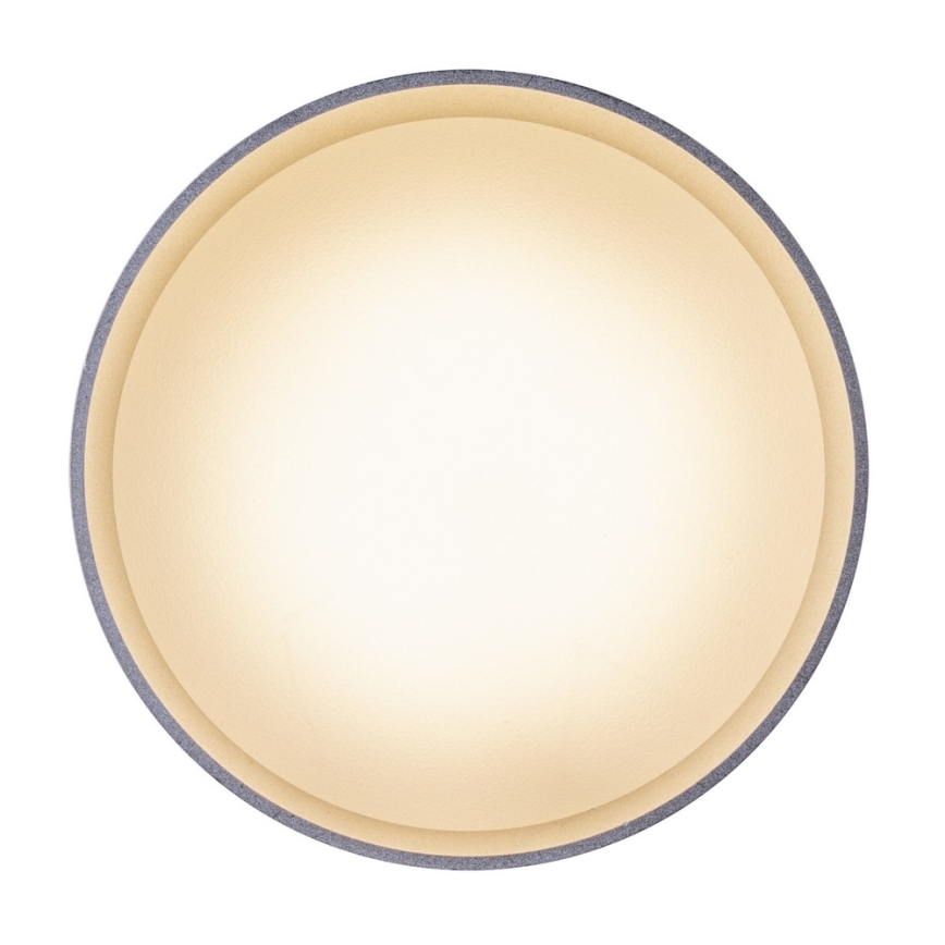 Globo - Luz de teto LED LED/8W/230V + LED/4W/230V