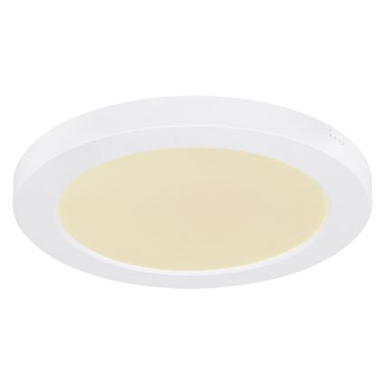 Globo - Iluminação de teto LED LED/18W/230V 3000/4000/6500K branco