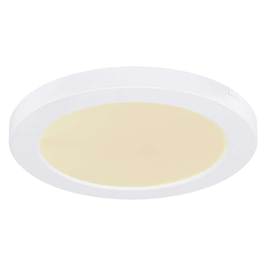Globo - Iluminação de teto LED LED/18W/230V 3000/4000/6500K branco