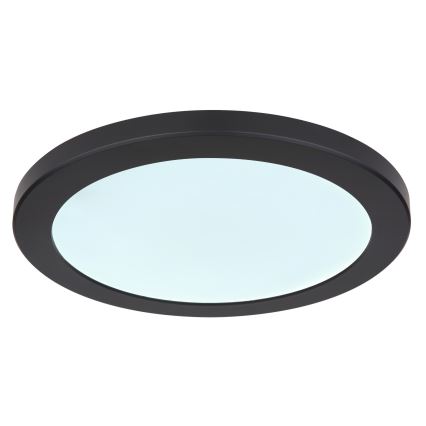 Globo - Iluminação de teto LED LED/24W/230V 3000/4000/6500K preto