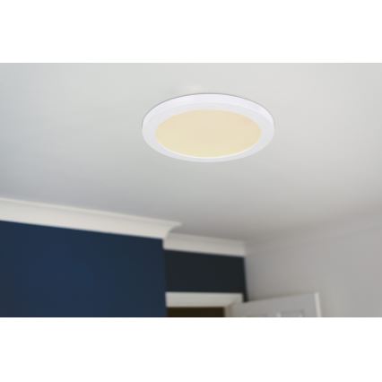 Globo - Iluminação de teto LED LED/24W/230V 3000/4000/6500K branco