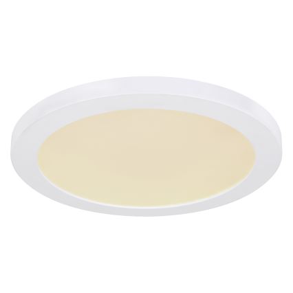 Globo - Iluminação de teto LED LED/24W/230V 3000/4000/6500K branco