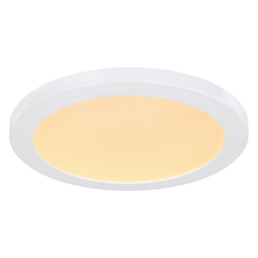 Globo - Iluminação de teto LED LED/24W/230V 3000/4000/6500K branco