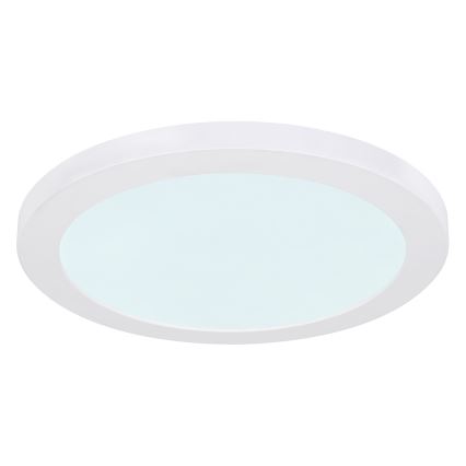 Globo - Iluminação de teto LED LED/24W/230V 3000/4000/6500K branco