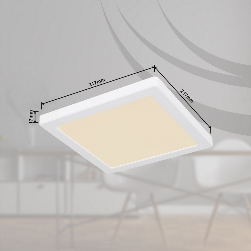 Globo - Iluminação de teto LED LED/18W/230V 3000/4000/6500K branco