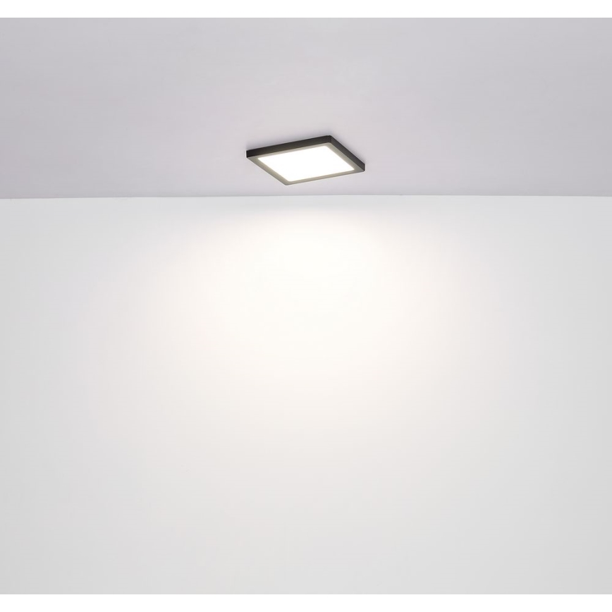 Globo - Iluminação de teto LED LED/24W/230V 3000/4000/6500K preto
