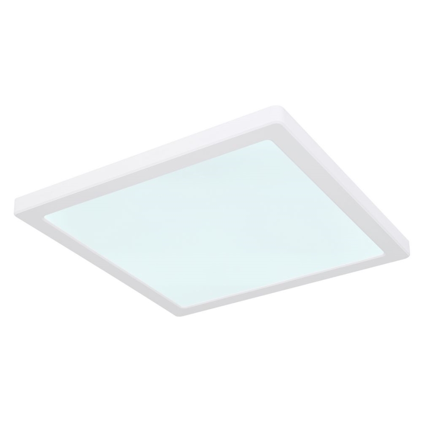 Globo - Iluminação de teto LED LED/24W/230V 3000/4000/6500K branco