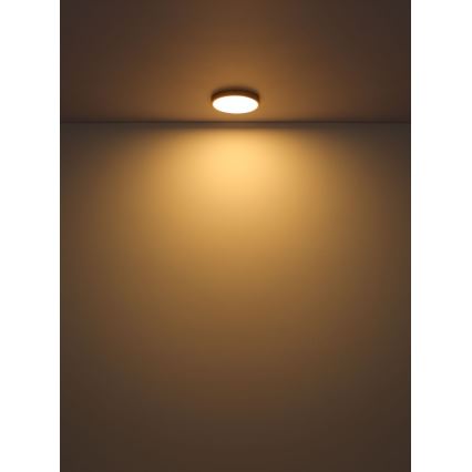 Globo - Iluminação de teto LED LED/22W/230V diâmetro 35 cm