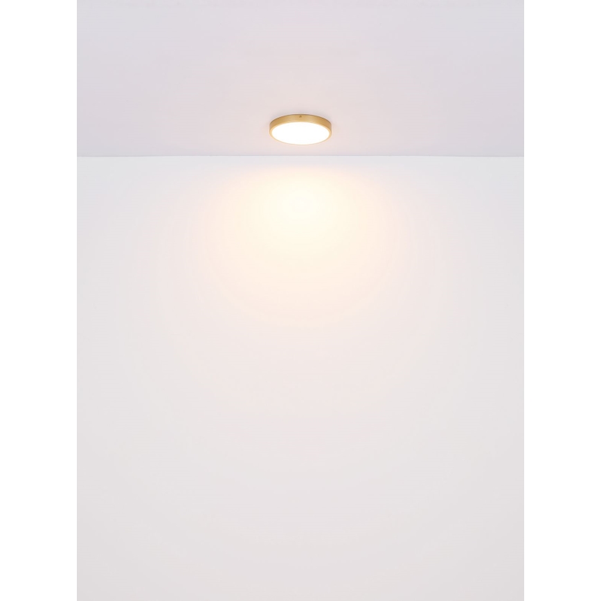 Globo - Iluminação de teto LED LED/22W/230V diâmetro 35 cm
