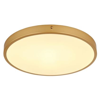 Globo - Iluminação de teto LED LED/22W/230V diâmetro 35 cm