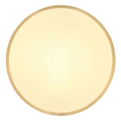 Globo - Iluminação de teto LED LED/22W/230V diâmetro 35 cm