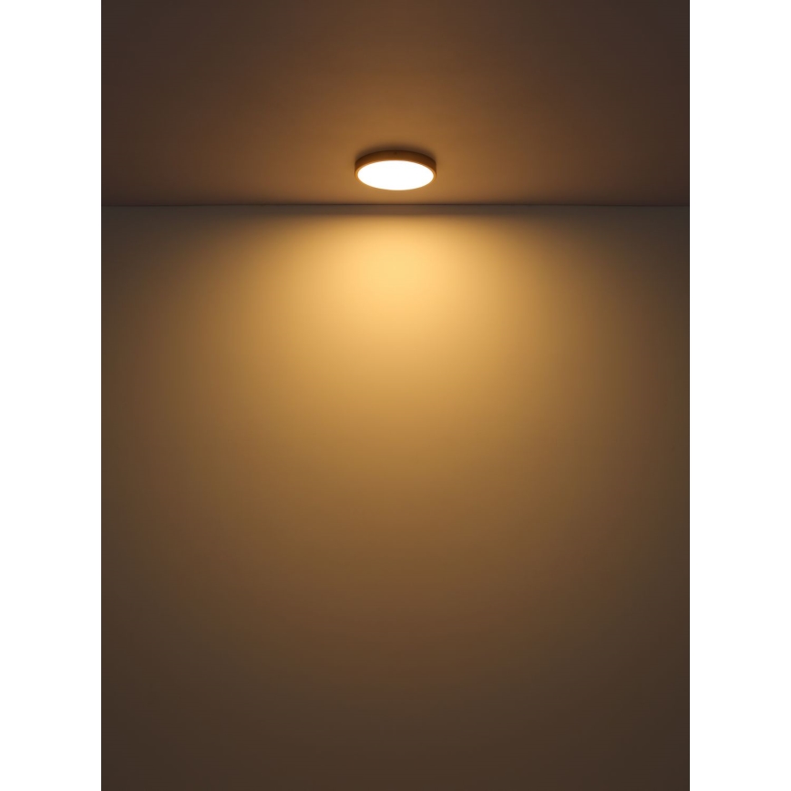 Globo - Iluminação de teto LED LED/30W/230V diâmetro 45 cm