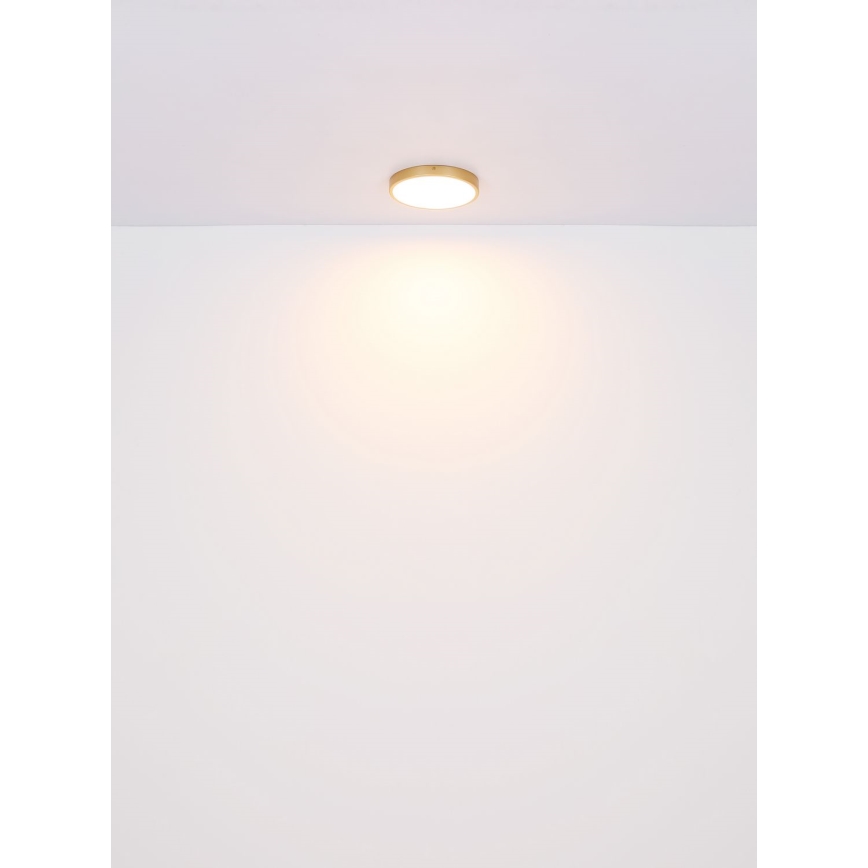 Globo - Iluminação de teto LED LED/30W/230V diâmetro 45 cm