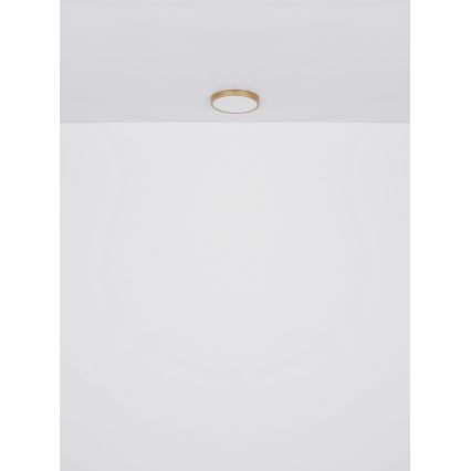 Globo - Iluminação de teto LED LED/30W/230V diâmetro 45 cm