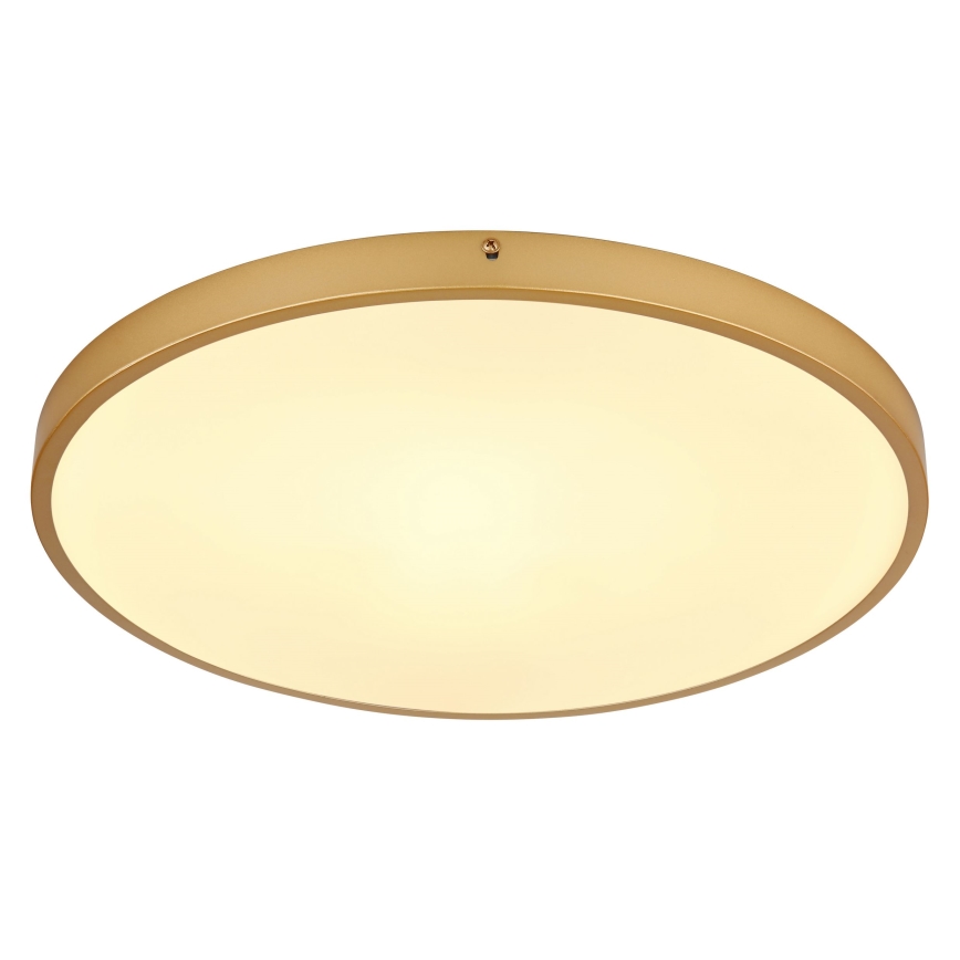 Globo - Iluminação de teto LED LED/30W/230V diâmetro 45 cm