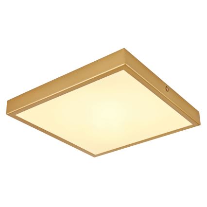 Globo - Iluminação de teto LED LED/15W/230V 25x25 cm