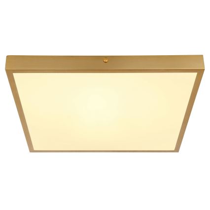 Globo - Iluminação de teto LED LED/22W/230V 35x35 cm
