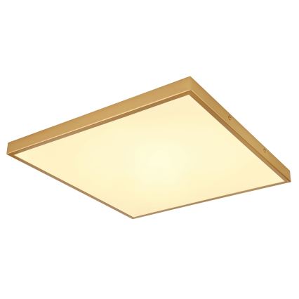 Globo - Iluminação de teto LED LED/30W/230V 45x45 cm