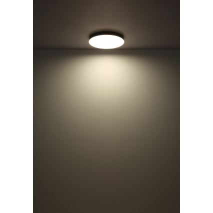 Globo - Iluminação de teto LED LED/50W/230V 3000K/4000K/6500K diâmetro 50 cm preto