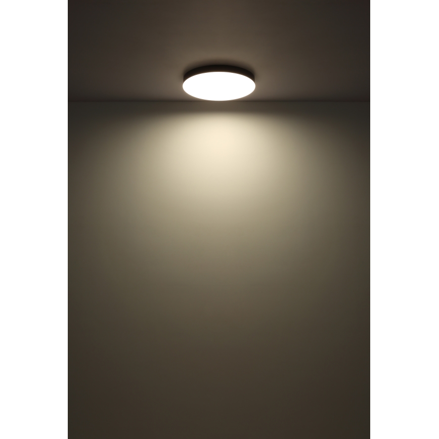 Globo - Iluminação de teto LED LED/50W/230V 3000K/4000K/6500K diâmetro 50 cm preto