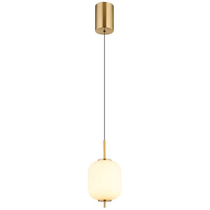Globo - Candeeiro suspenso LED LED/7W/230V