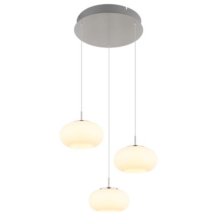 Globo - Candeeiro suspenso LED 3xLED/6W/230V