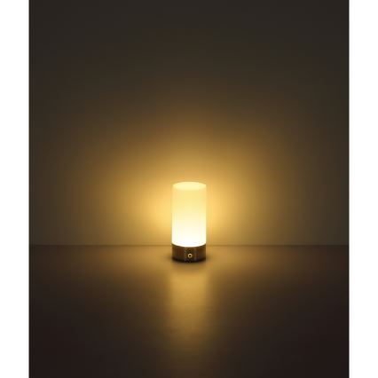 Globo - Candeeiro de mesa de exterior tátil LED RGBW regulável LED/1,8W/5V 1500 mAh IP44 cromado mate