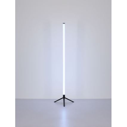 Globo - Candeeiro de chão LED RGB com regulação LED/7W/5V + comando