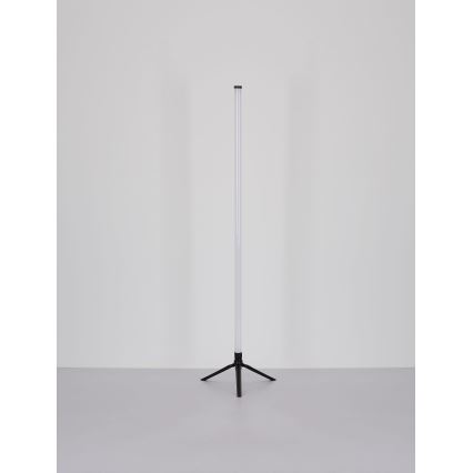 Globo - Candeeiro de chão LED RGB com regulação LED/7W/5V + comando