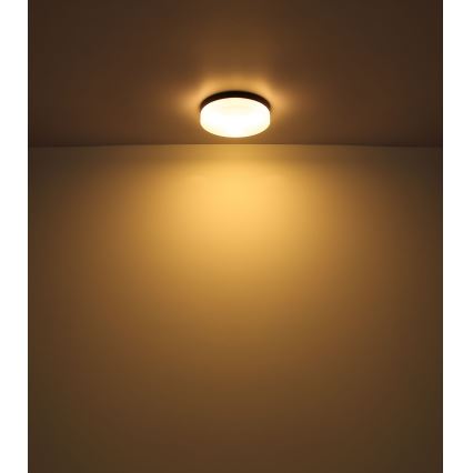 Globo - Iluminação de casa de banho 1xE27/60W/230V diâmetro 18,4 cm IP44