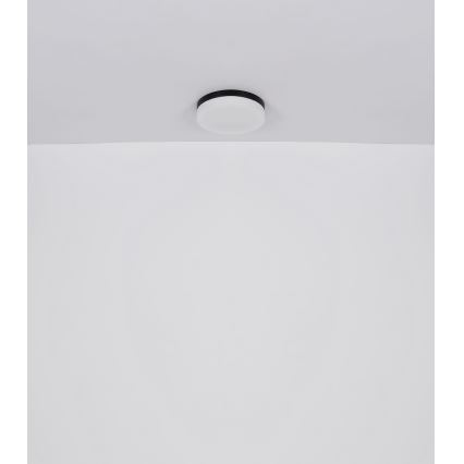 Globo - Iluminação de casa de banho 1xE27/60W/230V diâmetro 18,4 cm IP44