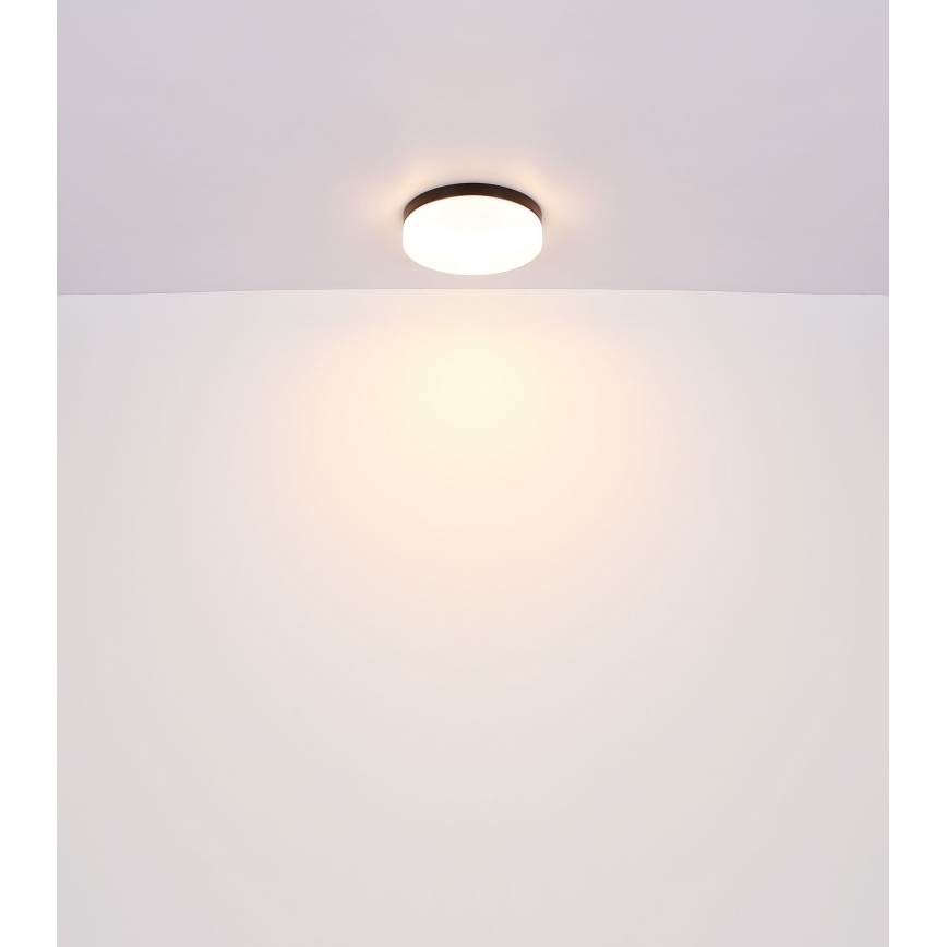 Globo - Iluminação de casa de banho 2xE27/60W/230V diâmetro 24 cm IP44
