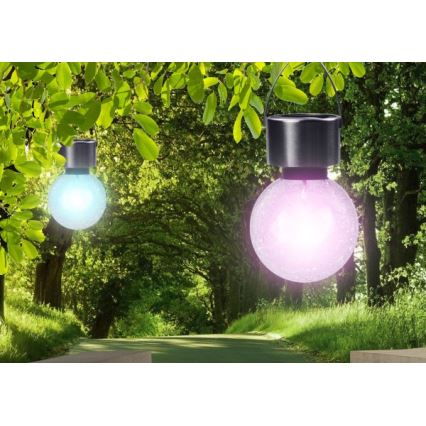 Globo - Iluminação solar LED LED/0,05W/1,2V IP44