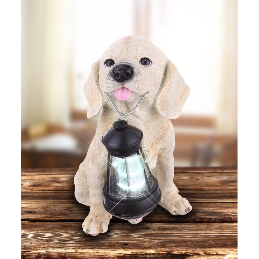 Globo - Iluminação solar LED LED/0,06W/3V cão IP44 600 mAh
