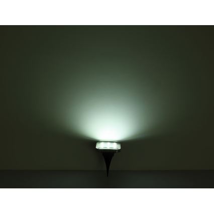 Globo - CONJUNTO 2x Luzes solares LED LED/0,8W/1,2V IP44 300 mAh
