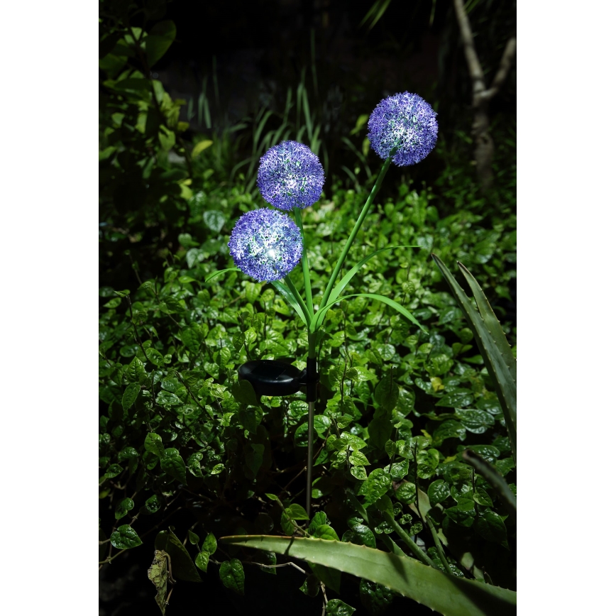 Globo - Iluminação solar LED 3xLED/0,06W/3V 5000K IP44 roxo
