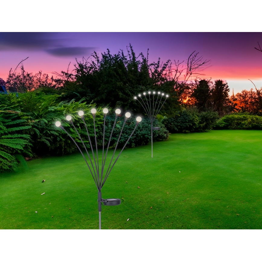 Globo - Iluminação solar LED 8xLED/0,06W/3,2V 3000K IP44