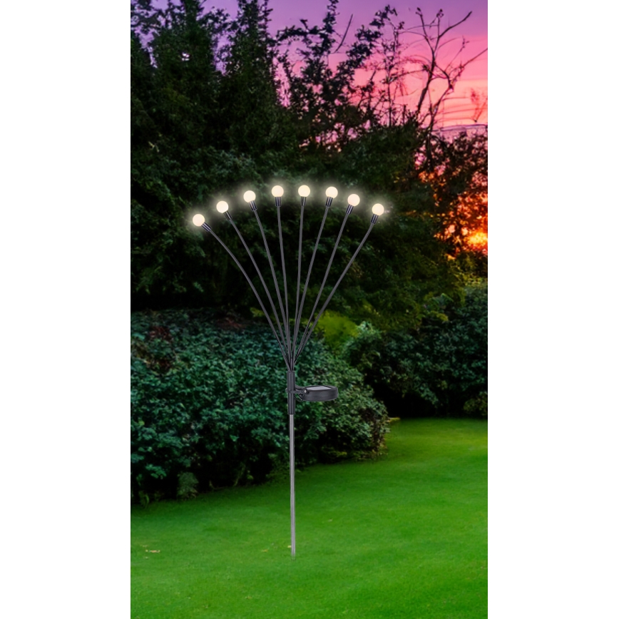 Globo - Iluminação solar LED 8xLED/0,06W/3,2V 3000K IP44