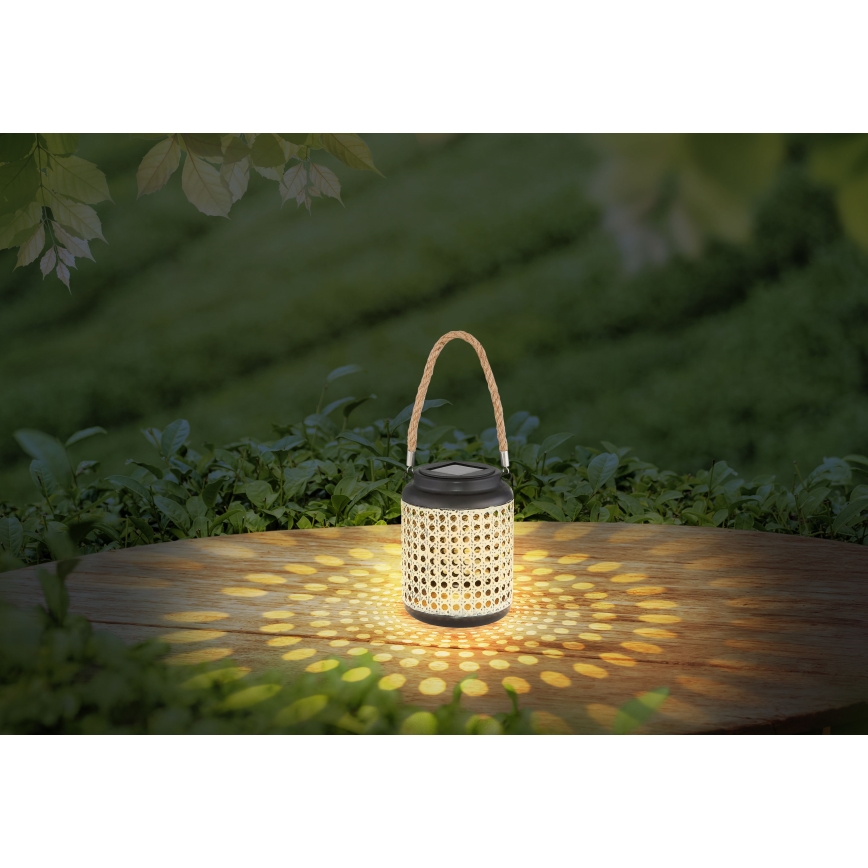 Globo - Iluminação solar LED LED/0,06W/3V 3000K IP44 bambu