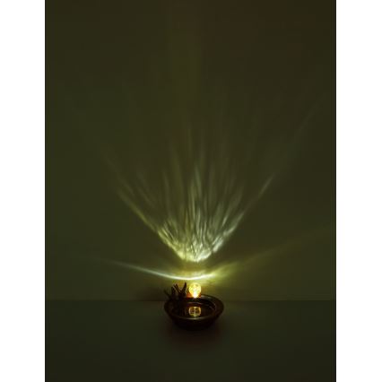 Globo - Iluminação solar LED LED/0,06W/3V IP44 Banho dos pássaros