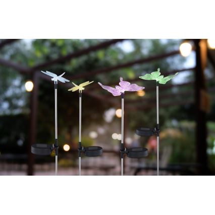 Globo - CONJUNTO 4x Iluminação solar LED LED/0,06W/3V IP44