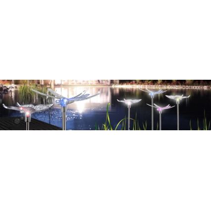 Globo - CONJUNTO 4x Iluminação solar LED LED/0,06W/3V IP44