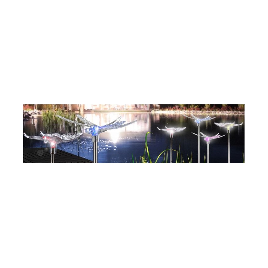 Globo - CONJUNTO 4x Iluminação solar LED LED/0,06W/3V IP44
