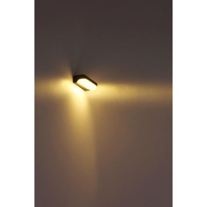 Globo - Iluminação de parede exterior LED LED/10W/230V IP54