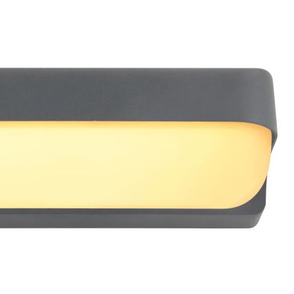 Globo - Iluminação de parede exterior LED LED/10W/230V IP54