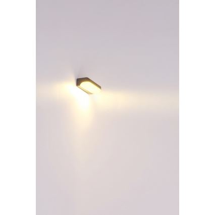 Globo - Iluminação de parede exterior LED LED/20W/230V IP54
