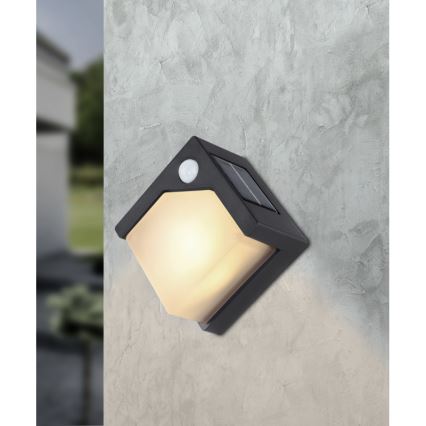 Globo - Iluminação solar LED com uma sensor LED/0,48W/3V IP44