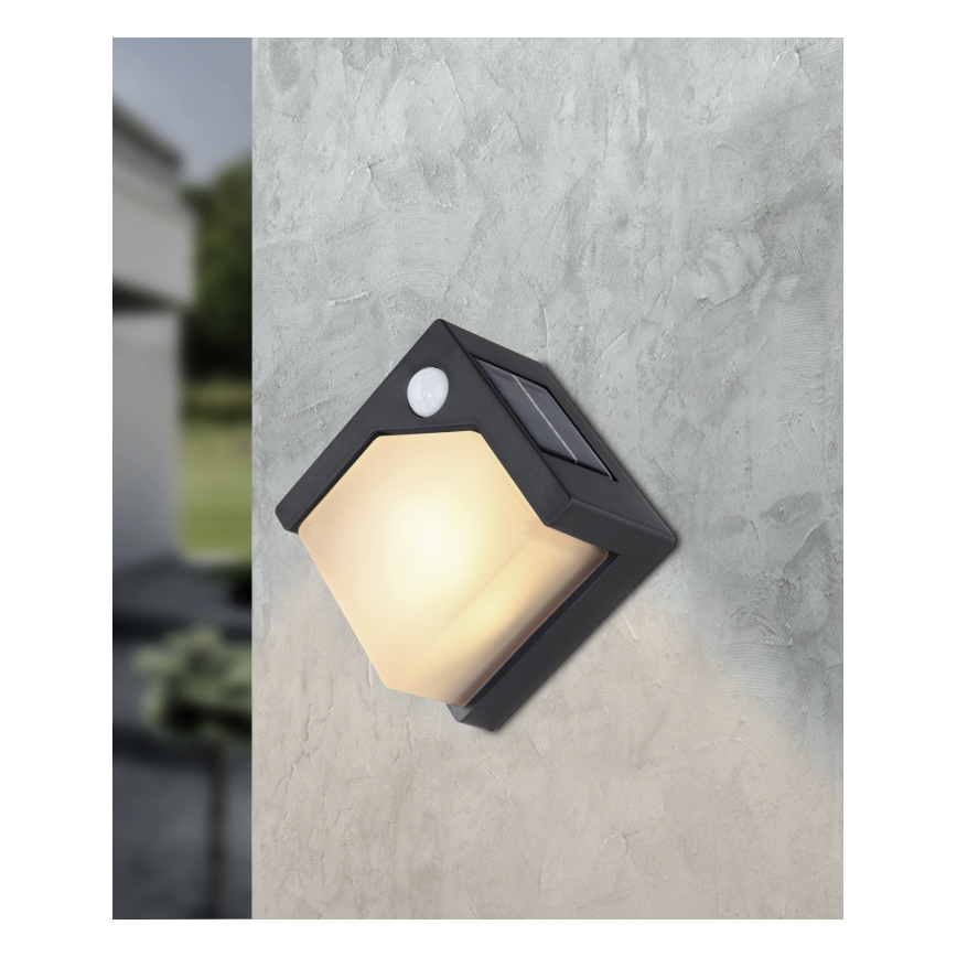 Globo - Iluminação solar LED com uma sensor LED/0,48W/3V IP44