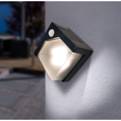 Globo - Iluminação solar LED com uma sensor LED/0,48W/3V IP44