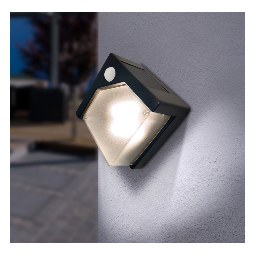 Globo - Iluminação solar LED com uma sensor LED/0,48W/3V IP44